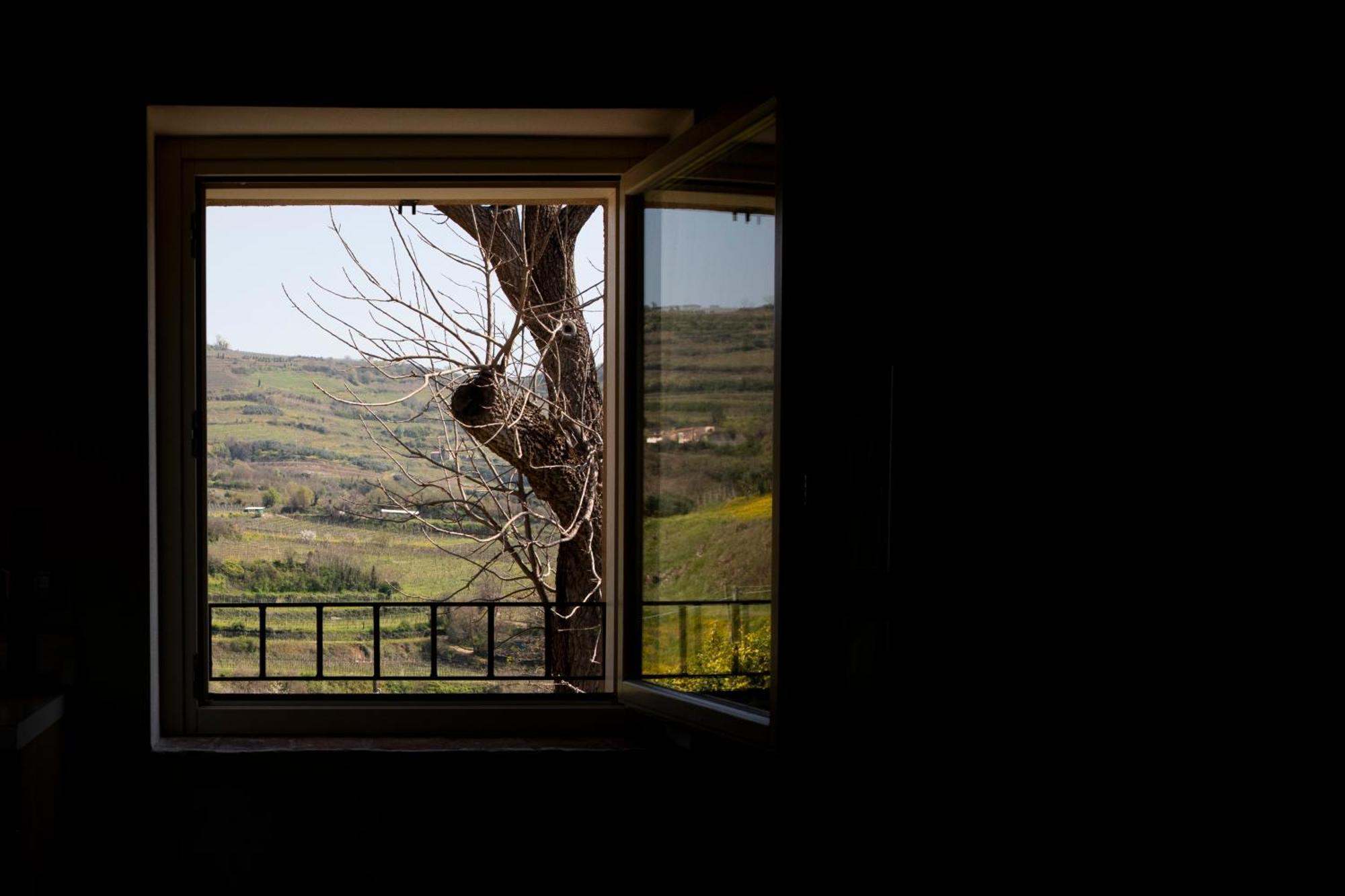 Corte Dei Soavi Suites - Apartments Soave  Dış mekan fotoğraf